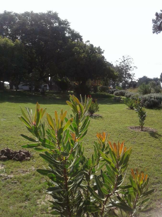 Villa Guinea Fowl Plettenberg Bay Esterno foto